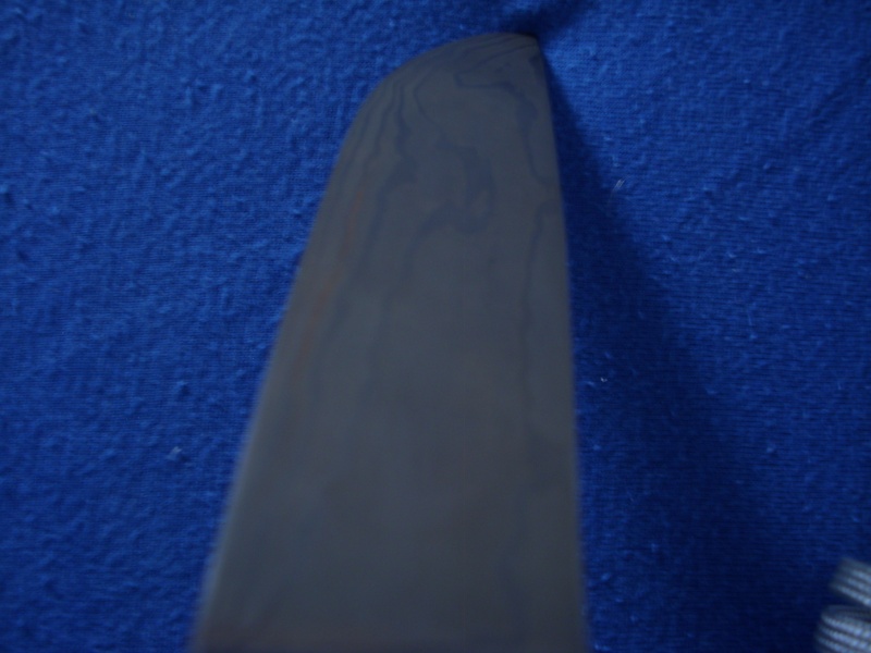 dsci0120.jpg
