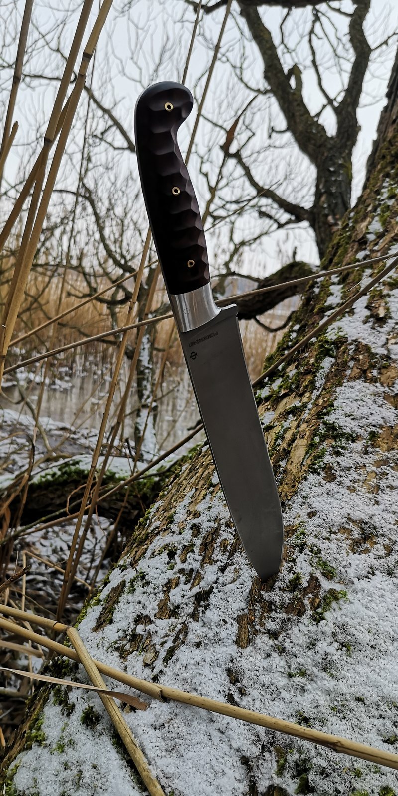 34910221nq.jpg