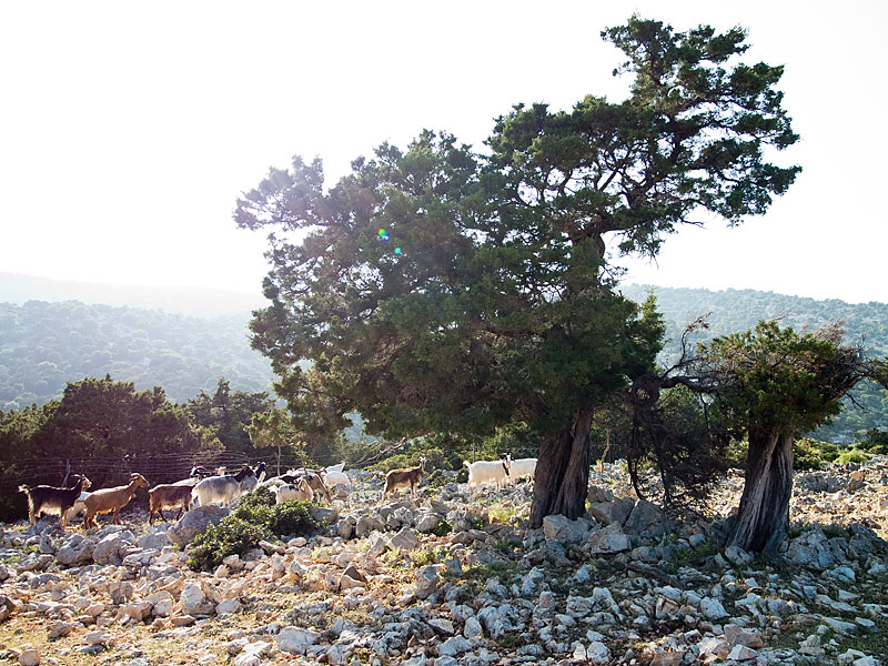 DSCN0509.jpg