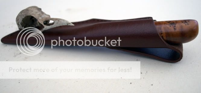 DSC_0390NEF.jpg