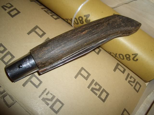 CIMG7013.jpg