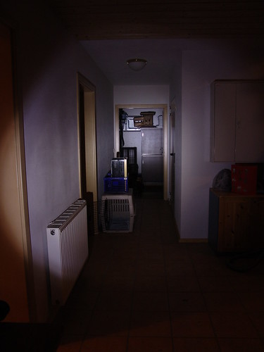 3161479510_85562560e3.jpg