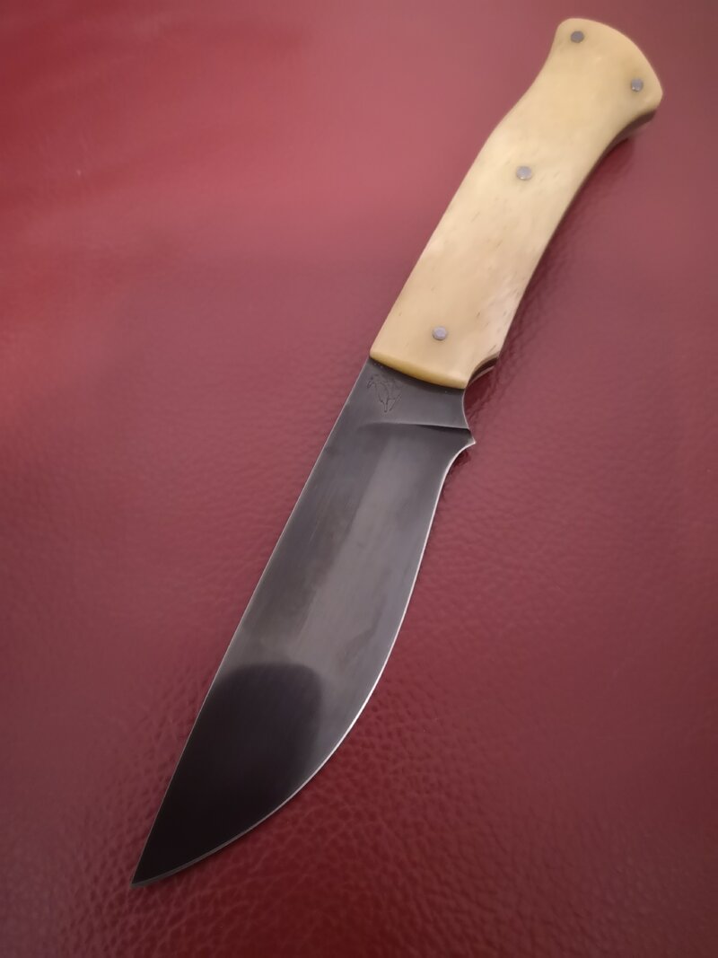 49233163xf.jpg