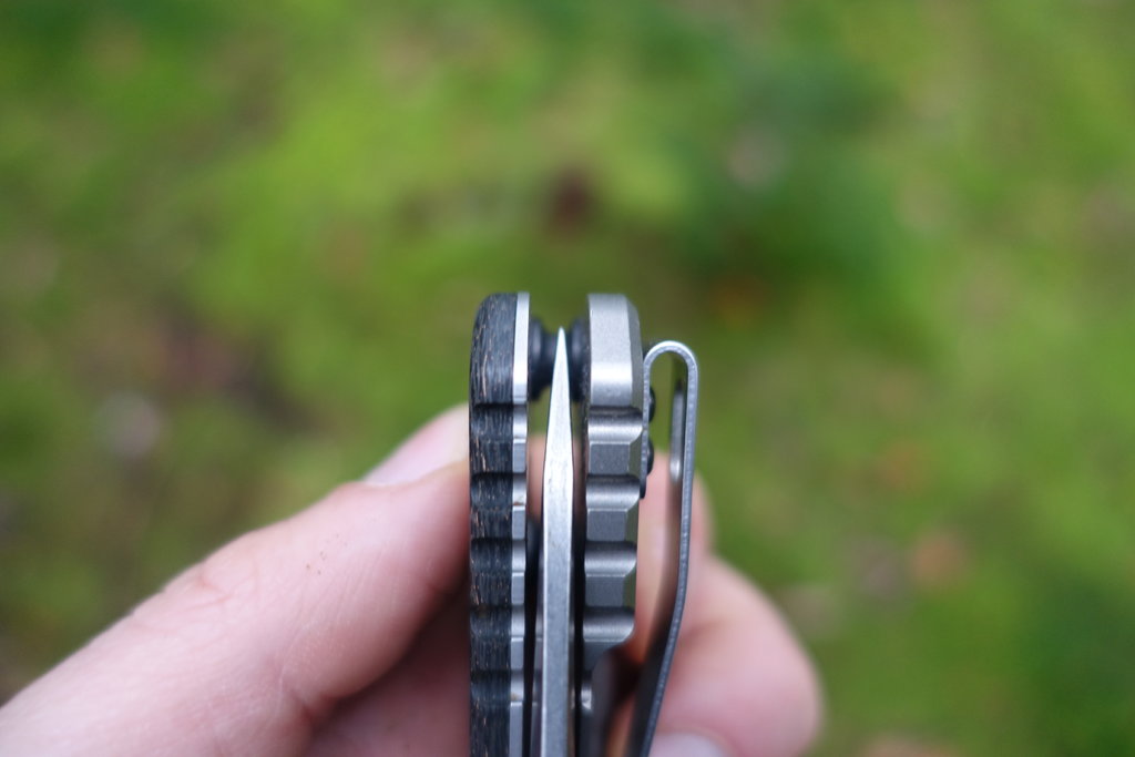 42649729an.jpg