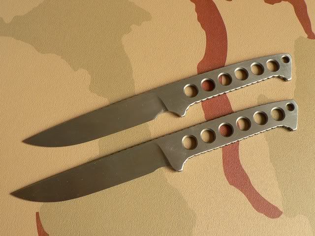 P1020554a.jpg