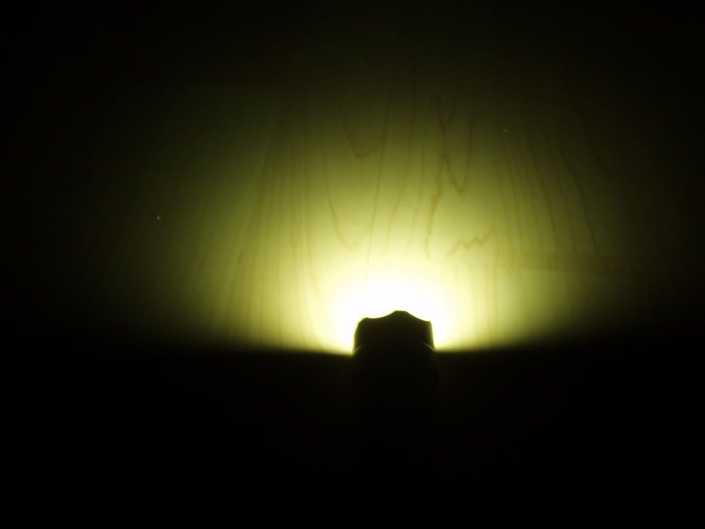 P8090066.jpg