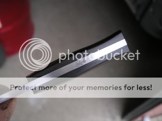 IMGP5406.jpg