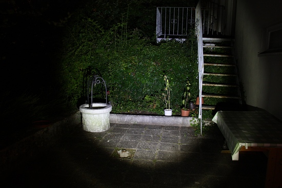 Palide_Low_Nahbereich-05_550_x_550_.jpg