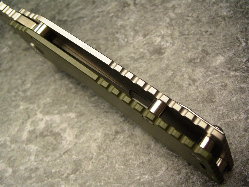 comp_S1056113.jpg