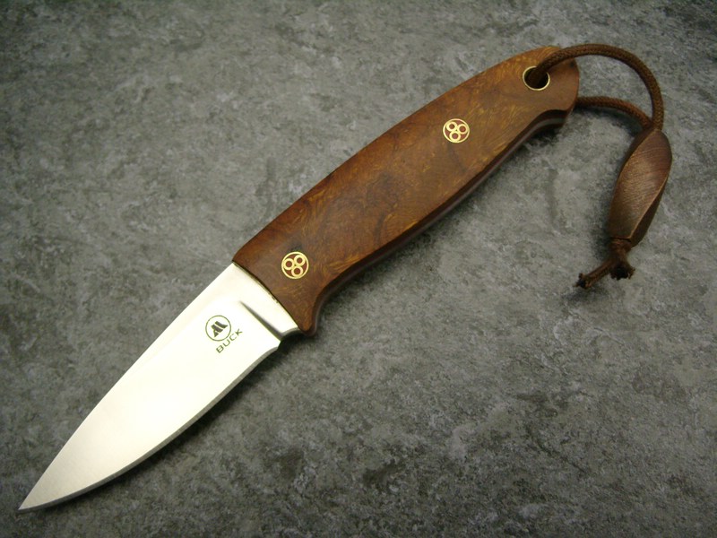 comp_Kaala_Front_1.jpg