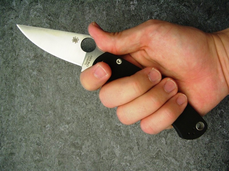 Spyderco_Paramilitary_2_Handlage_geschlossen_2.jpg