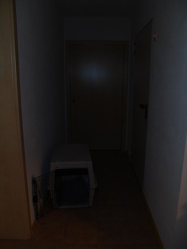2060845512_04f02fd895.jpg