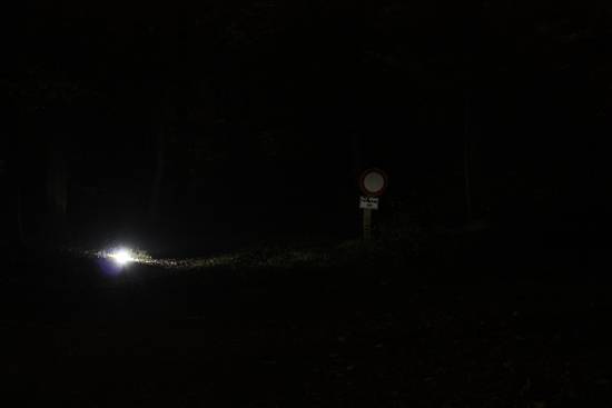 IMG_0085_550_x_450_.jpg
