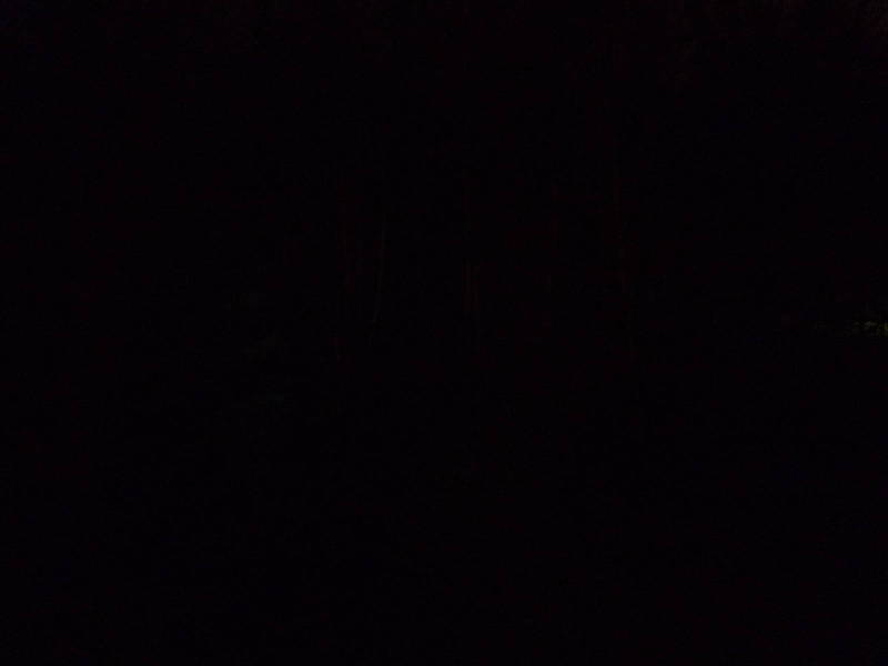 P1020419.JPG
