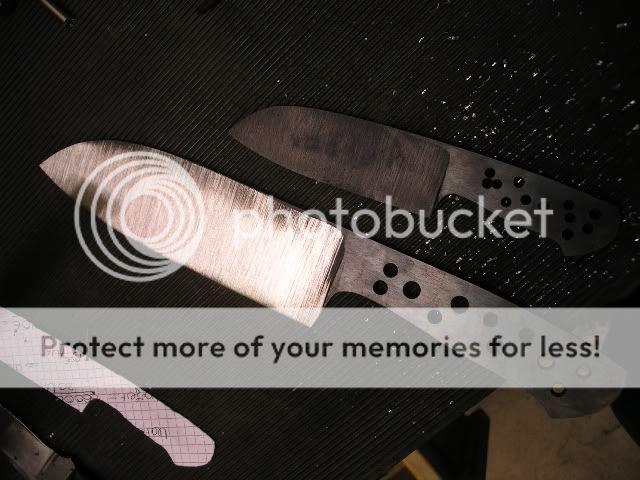 IMGP5234.jpg