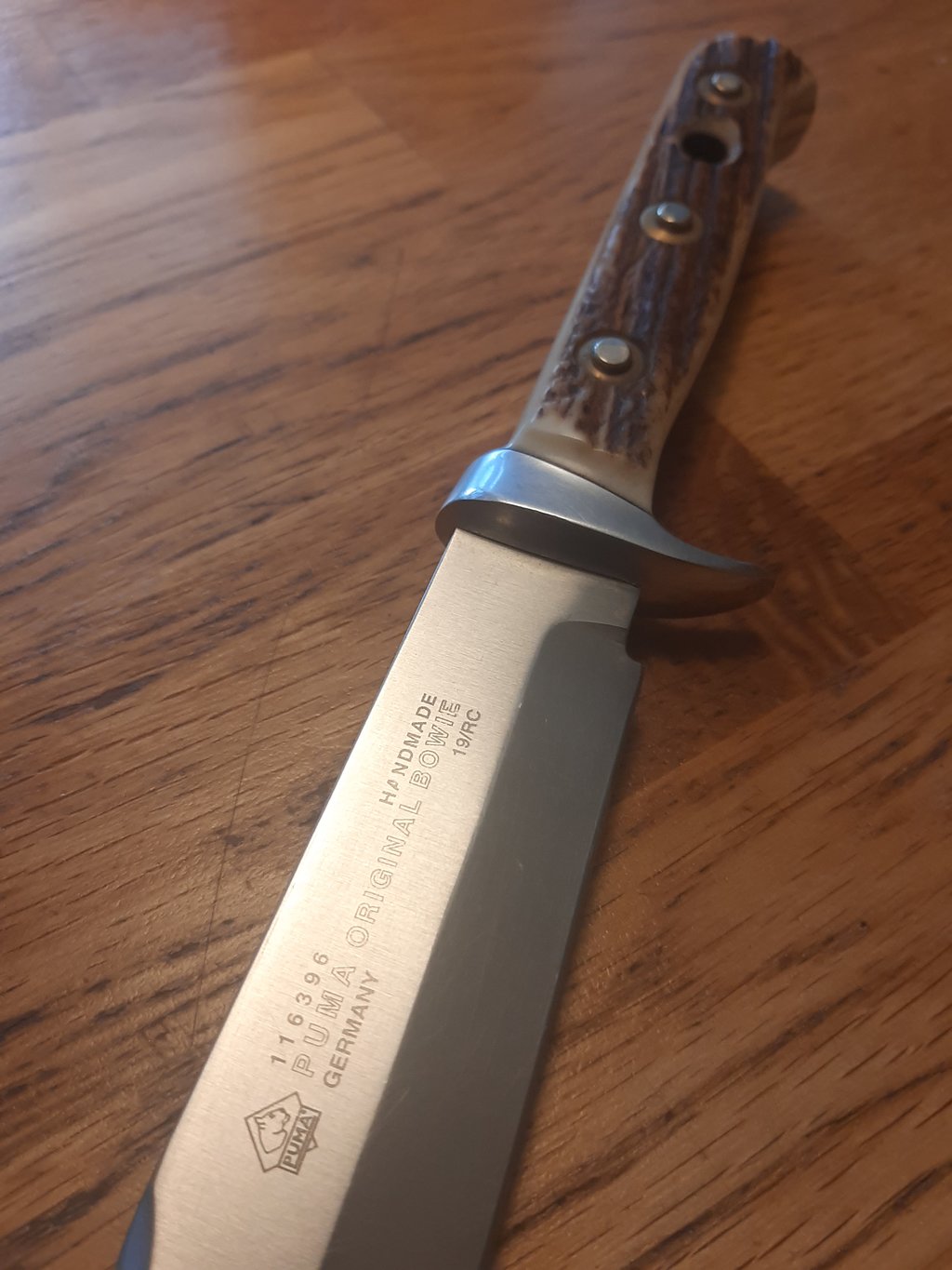 45560674kg.jpg