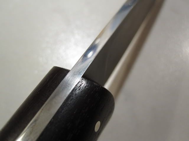 John_Bradley_Drop_Point_Hunter_0004.jpg