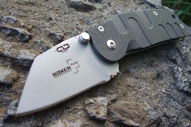 fd09e996.jpg