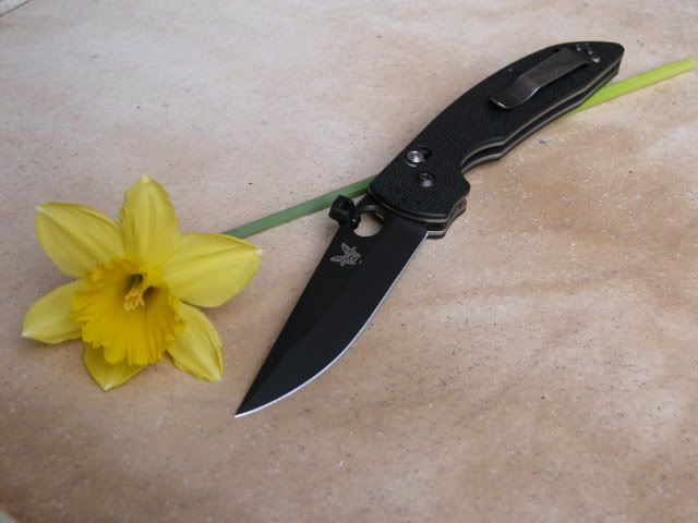 DSCN1197.jpg