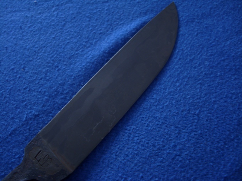 dsci0117.jpg