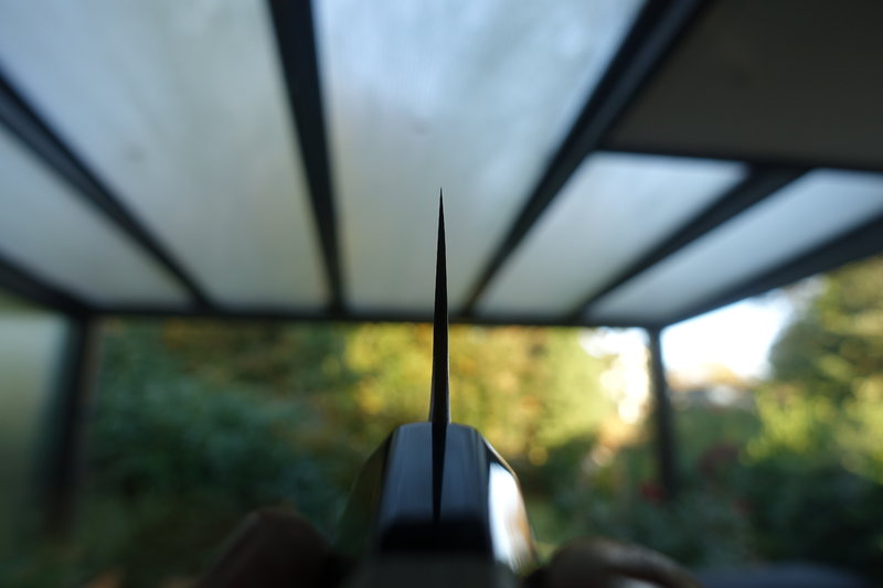 44502442ef.jpg