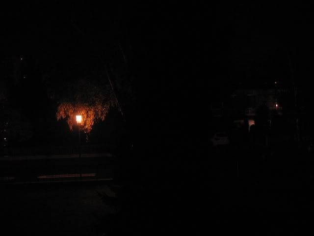 Testbild_Baum.jpg
