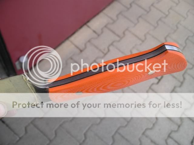 IMGP5362.jpg
