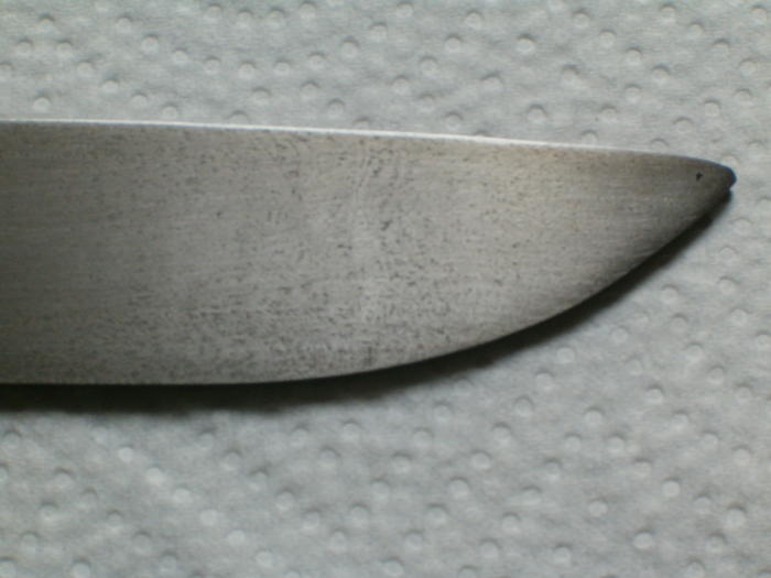 2250384.jpg