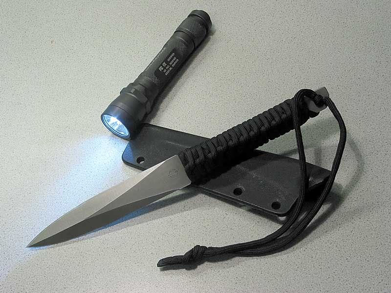 Strider-PHA2.jpg