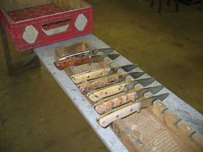 64_IMG_0338.jpg