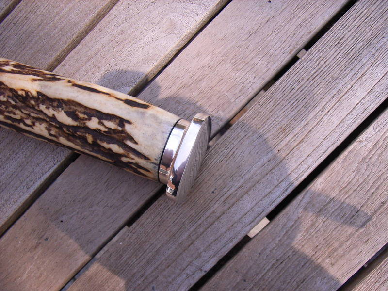 RIMG00371.JPG