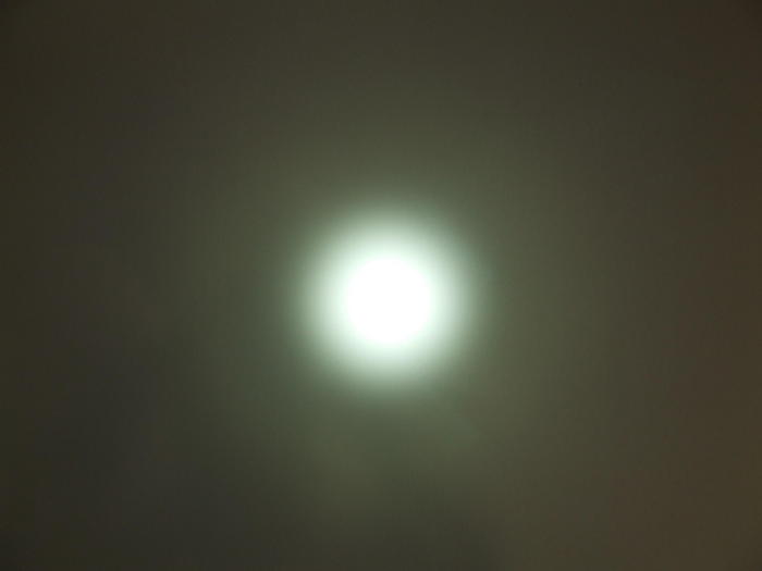 753842.jpg
