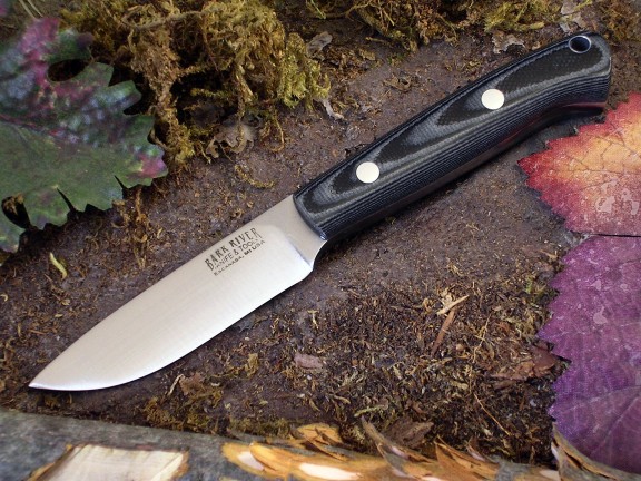 Lil_Crk_Midnite_Tiger_S.jpg