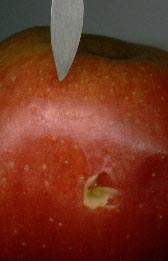 158_p1058.jpg