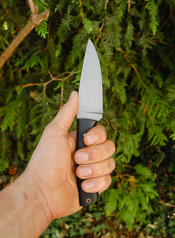 sg-3.jpg