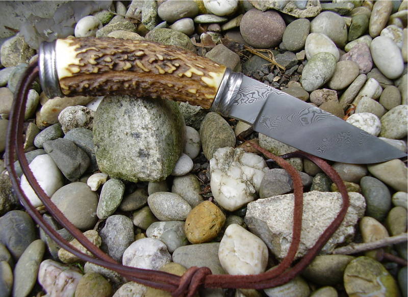 Hirsch_mit_Torsion_020.jpg