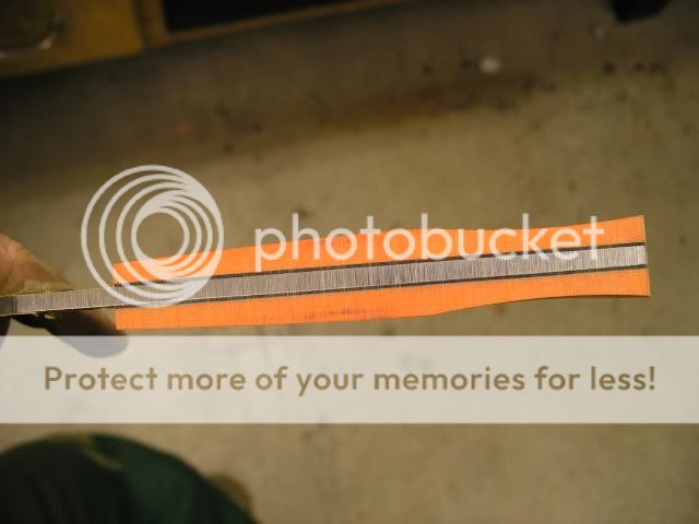 IMGP5342.jpg