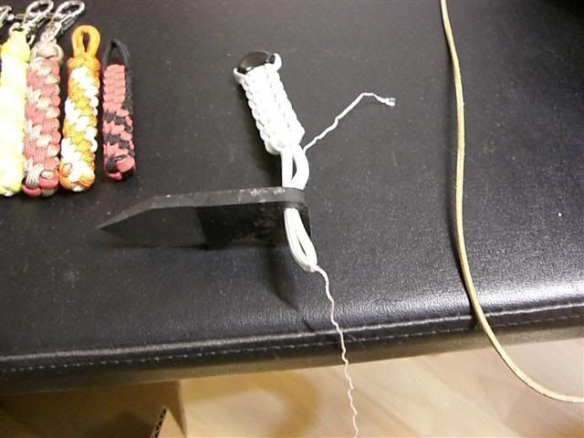 CIMG3117Small.jpg