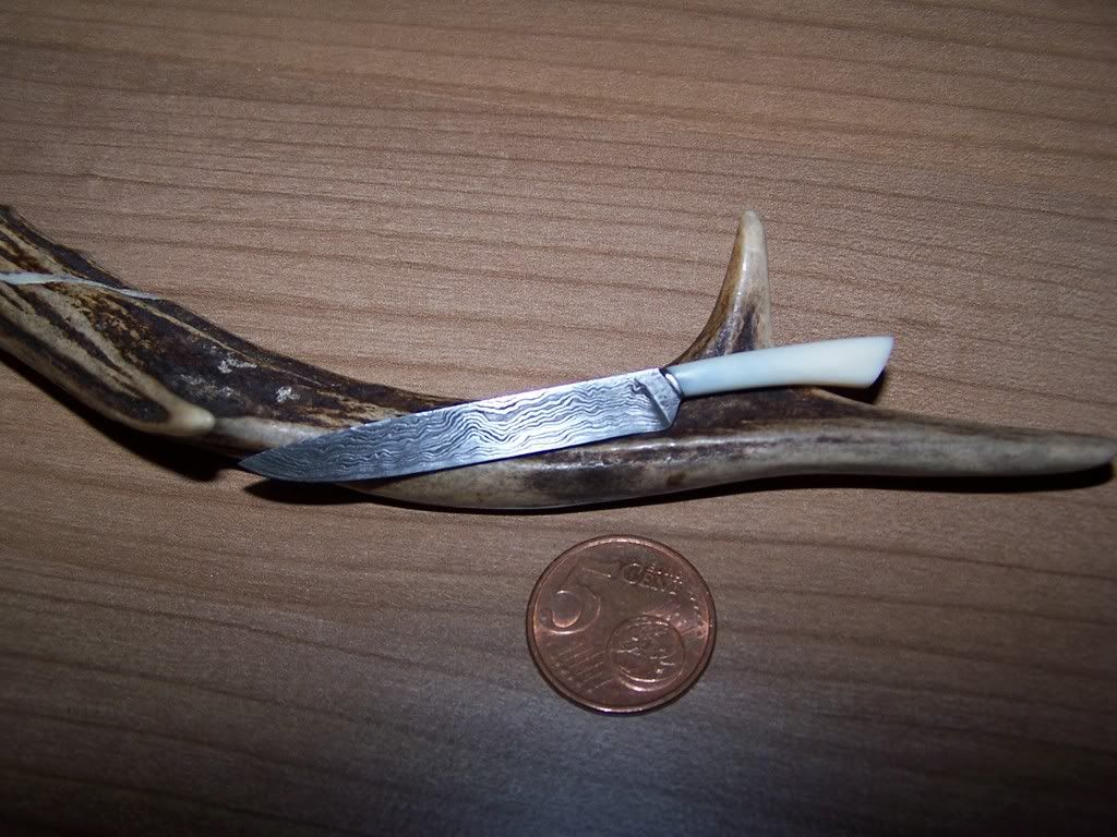 100_5293.jpg