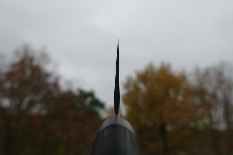 39925825fo.jpg