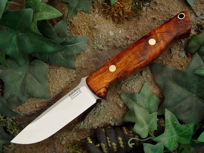 Gunny_Desert_Ironwood_1_Jenni_sized.jpg