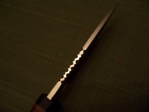 Foto=E6BU77DR