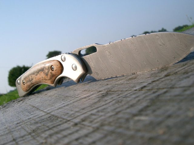 skf2.jpg