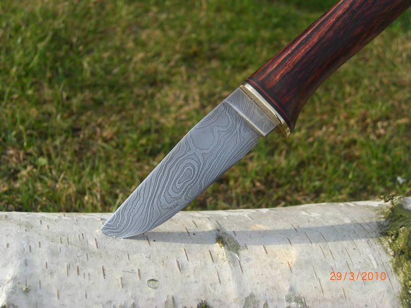 CIMG1625.JPG