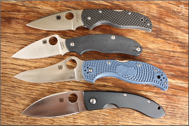 strider_v_001.JPG