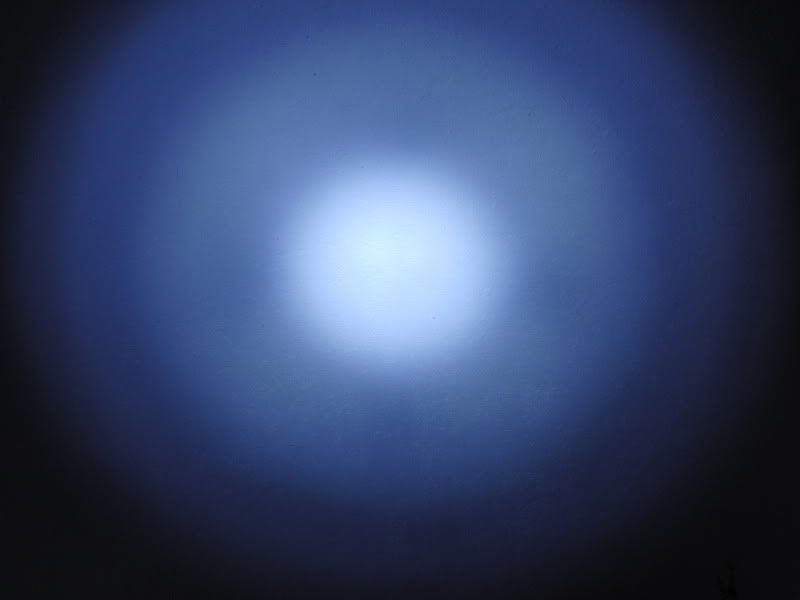 CIMG2795.jpg