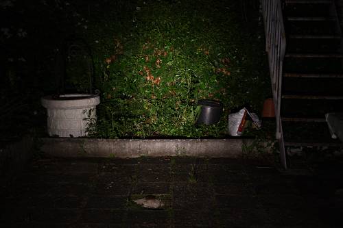SC50w_1-16_18_lm_500_x_500_.jpg