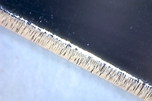 42897902yc.jpg