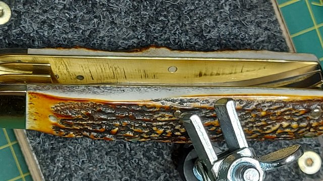 46737197ed.jpg