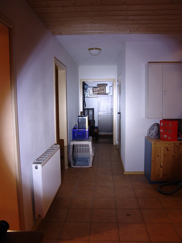 3161472934_e339ac264c.jpg